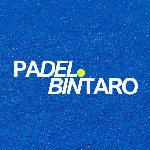 Padel Bintaro