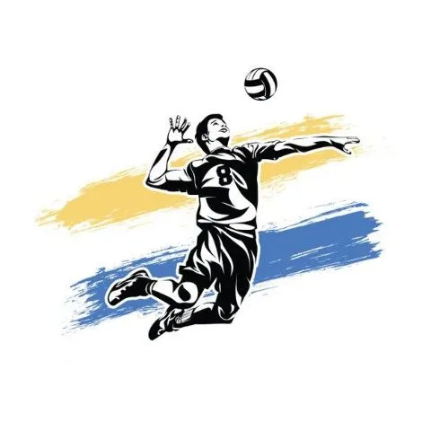 Sv Volleyball