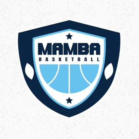 MAMBA BASKETBALL SOCIAL PICKUP