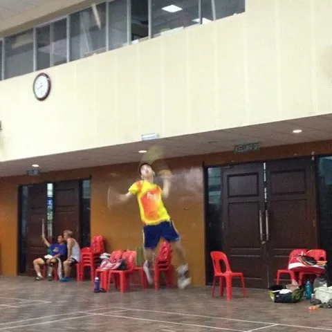 PickleAces PickleBall Club