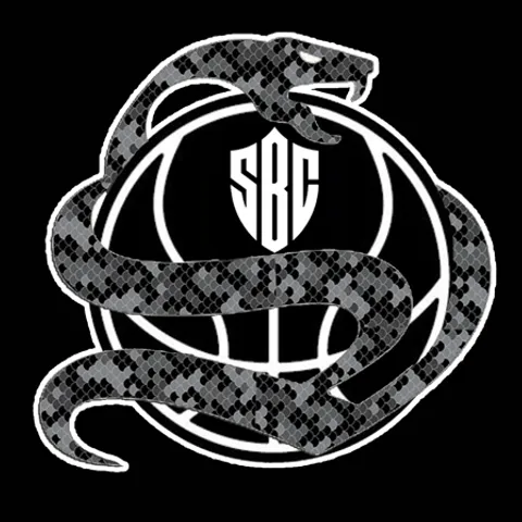 SWISH BALLERS COMMUNITY 