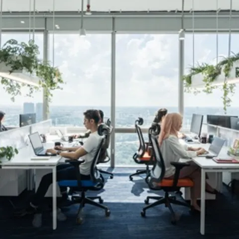 INFINITY Pickle club 