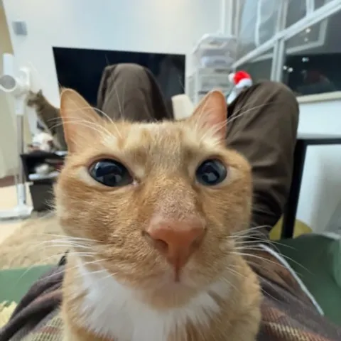 你大我呀pickleball 