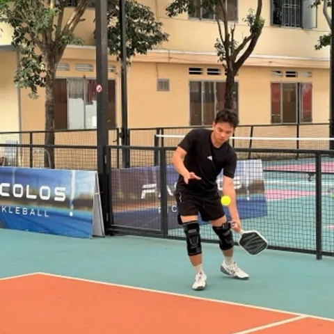DN Pickleball 