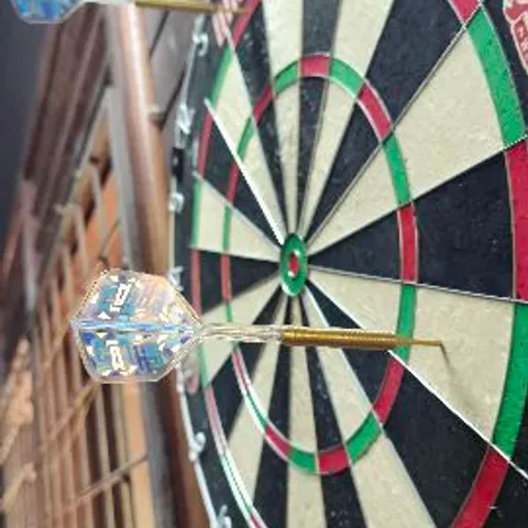 PonDarts Club