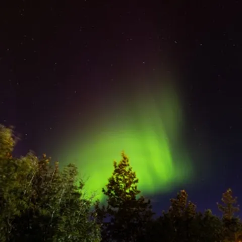 Pickleball & Chill 😌