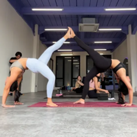 Flexy Bendy Yogis