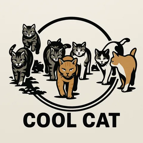 Cool Cat TC