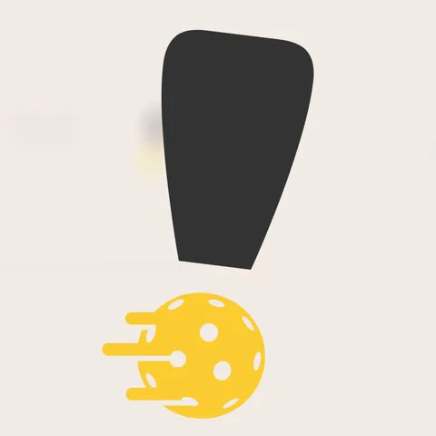 Bravo Pickleball Vista Mall Bataan