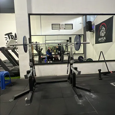 Alpha streght gym 