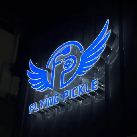 Flying Pickle
