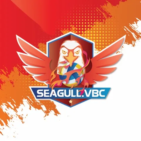 SEAGULL VBC