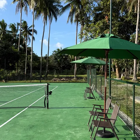 Palaian Tennis