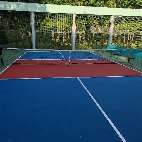 SPGG pickleball club