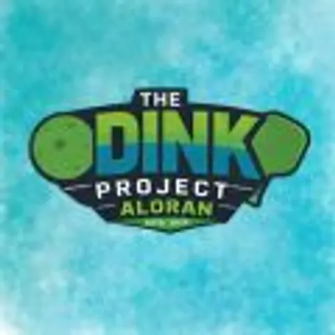 The Dink Project