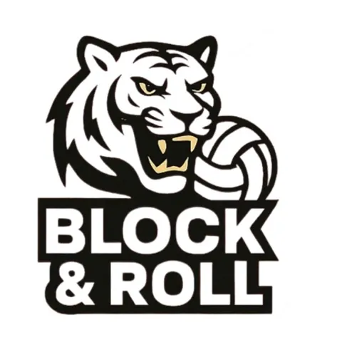 Block & Roll 🐯🏐