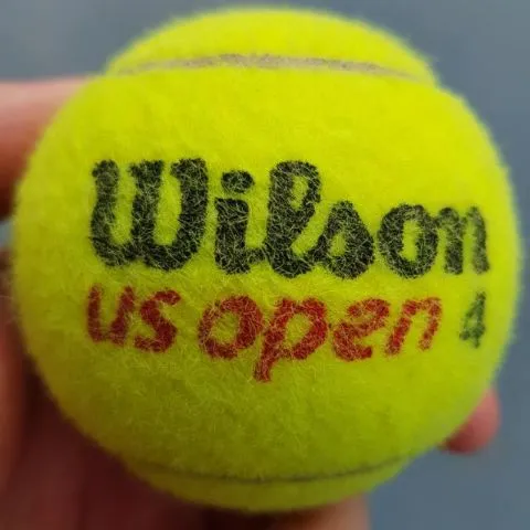 Early Birds Social Tennis Club