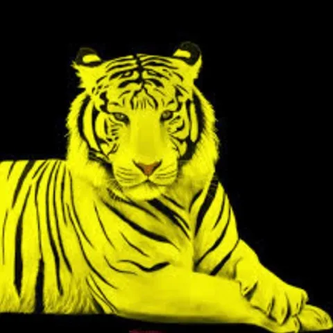 MBB SOCIAL PICKLE BOLA 