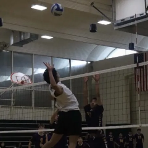 SF Elite Open Gym Group