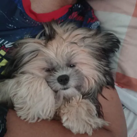 Wednesday Night Courtzone 