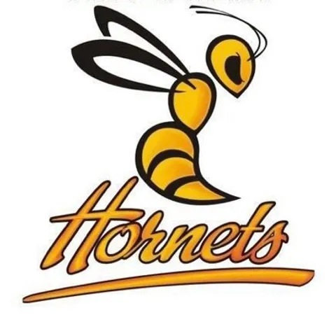 Hornets🐝Pickleball🐝Club