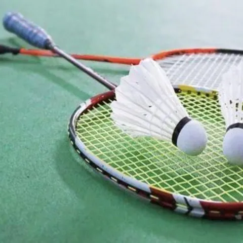 Bamboo's Badminton Club