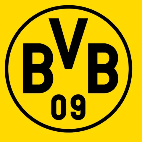 BVB 09