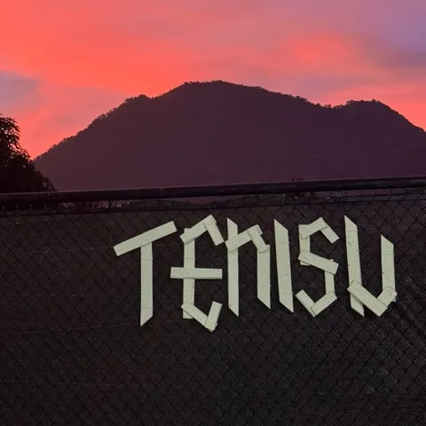 Tenisu