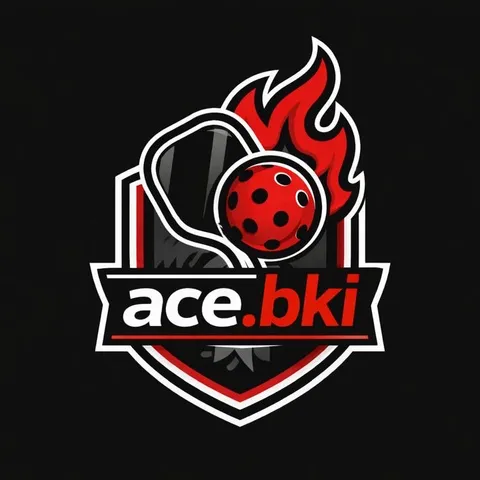 ace.bki