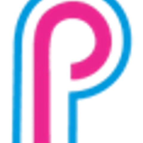 PicklePlay Wendywood