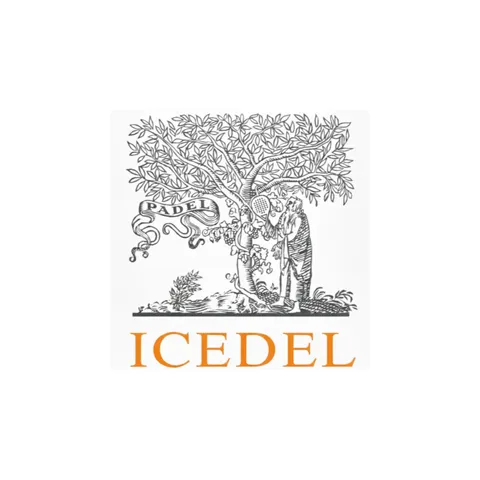 ICeDel