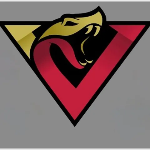 Donegal/Derry Vipers Flag Football