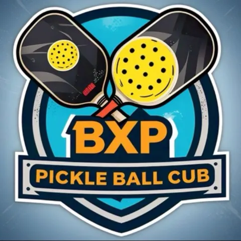 Brixton Place Pickleball Club
