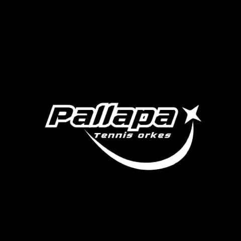 Tenis Pallapa