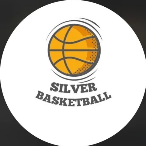 SILVER BASKETBALL