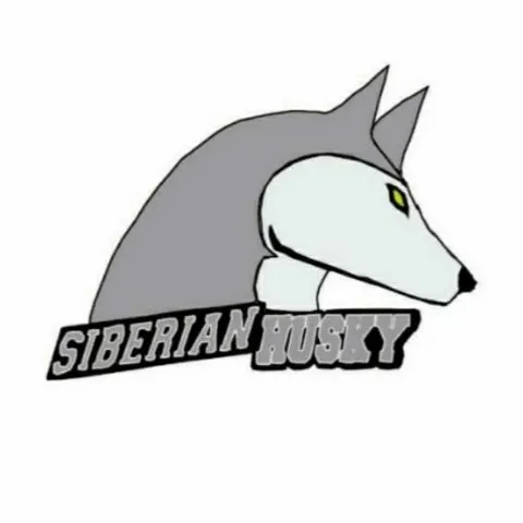 SIBERIAN HUSKY