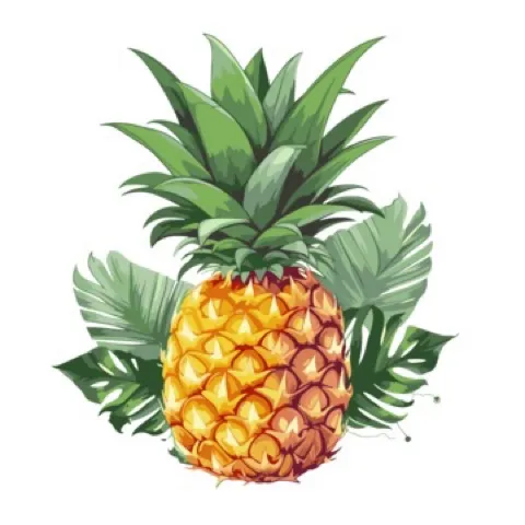 Bogorlicious Padel Club