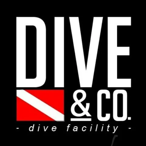 Dive & Co.