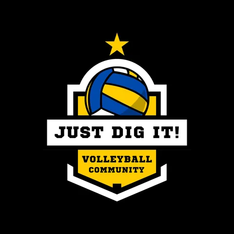 Just Dig It! Volleyball 