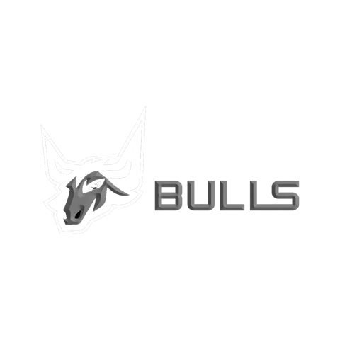 Bulls Padel