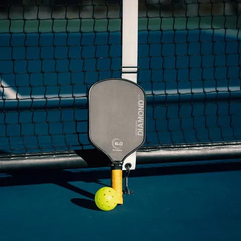 Singlepickleball