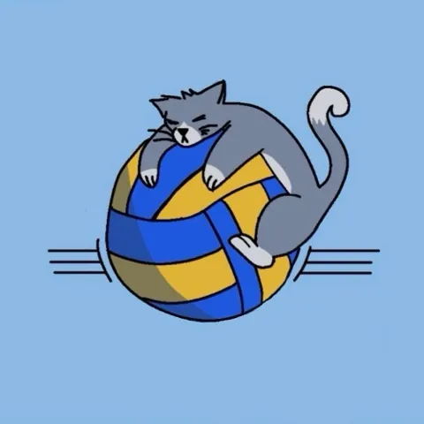 Cavan Cats VC