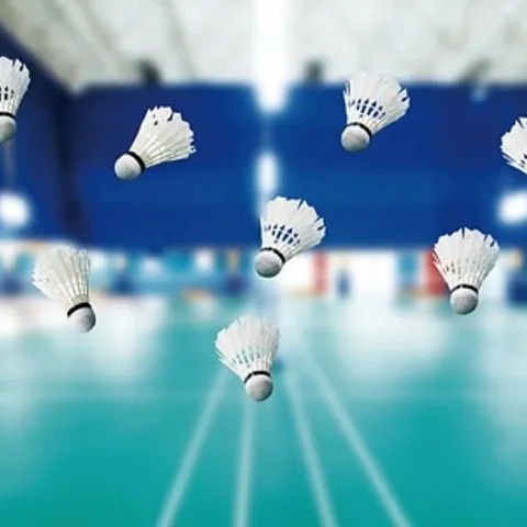 Badminton Buying Together “1176”