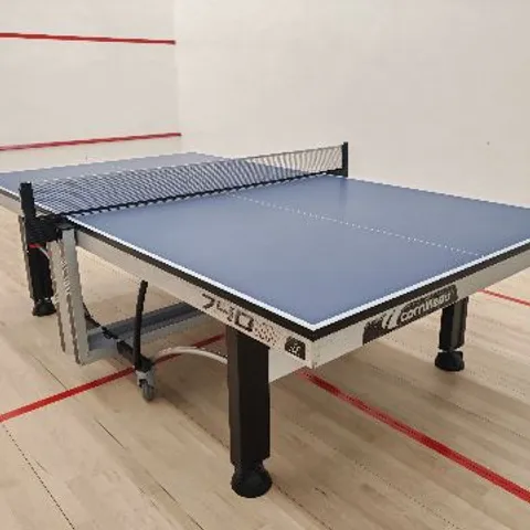Homantin Table Tennis Players 