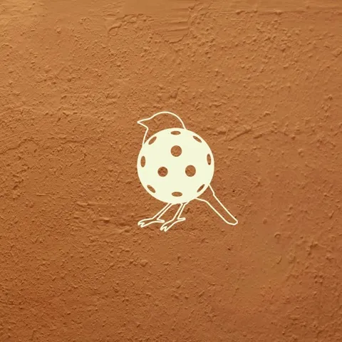 Hermit Pickleball Court