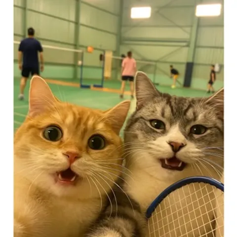 谈恋爱会输，和我们打羽毛球稳赢 🏸