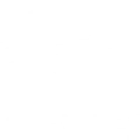 Seahawks PH Dragon Boat Team