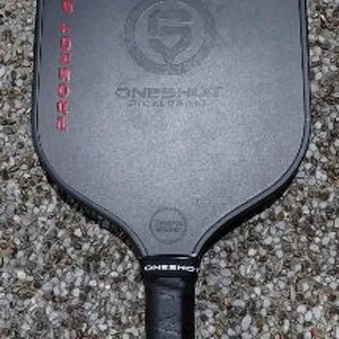 Pickleball Players Singapore 🇸🇬