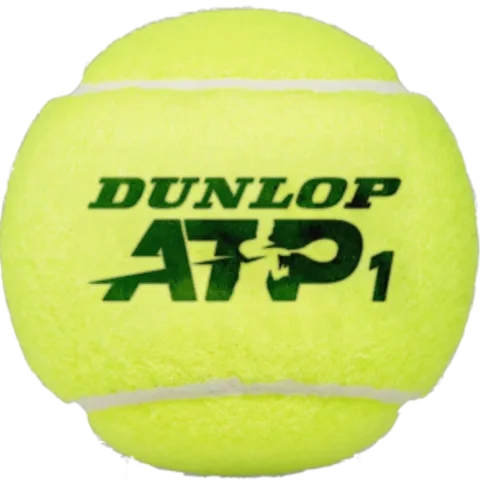 Bt Timah-West Tennis Group 