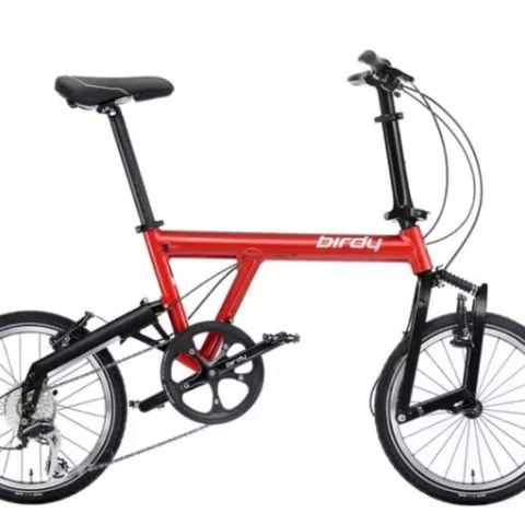 新加坡鸟人鸟车俱乐部 Singapore Birdy Bicycle